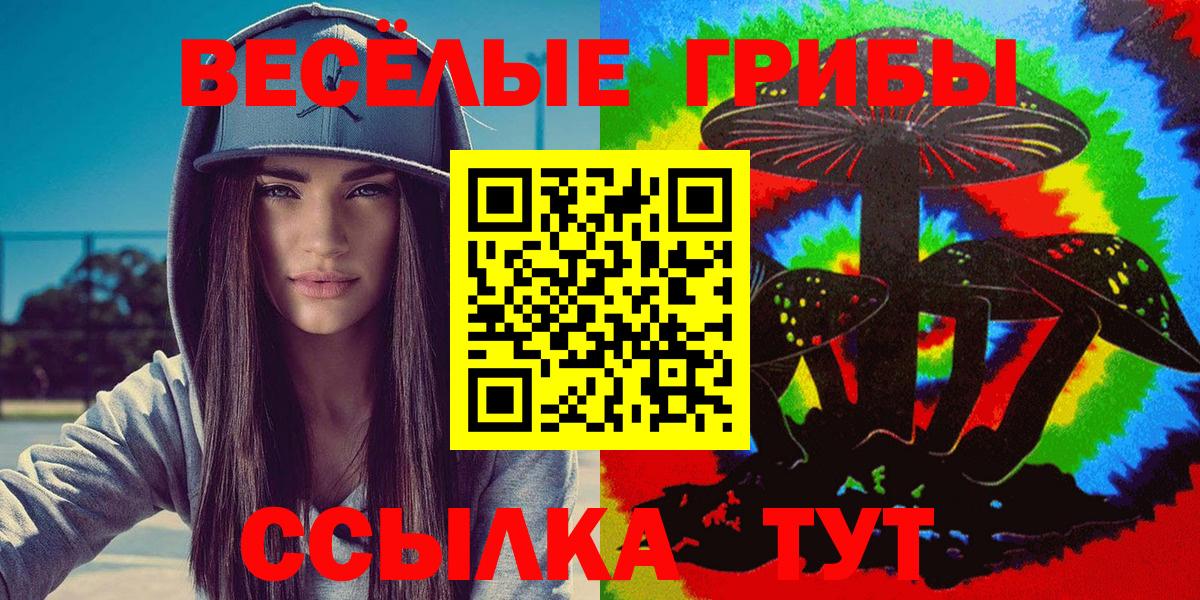 Псилоцибиновые грибы прущие грибы Будённовск
