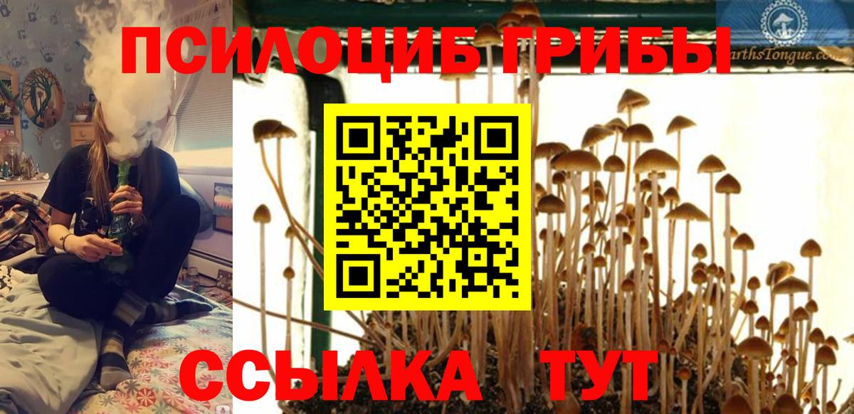 Будённовск  Псилоцибиновые грибы прущие грибы  хочу наркоту  Вход с VPN 